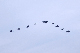 image0197