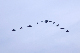 image0198