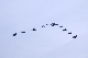 image0199