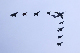image0205