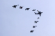 image0207