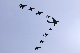 image0208