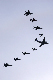 image0211