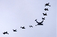 image0215