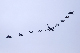 image0219