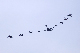 image0220