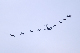 image0221