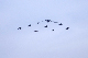 image0222