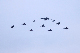image0223