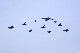image0225
