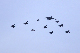 image0226