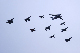 image0230