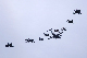 image0245