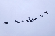image0248