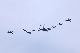 image0250