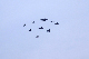 image0253