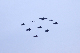 image0254