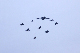 image0255