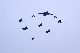 image0258