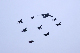 image0259
