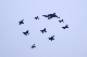 image0260
