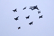 image0262