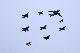 image0263