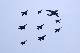 image0264