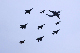 image0265