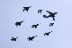 image0266
