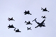 image0272