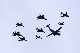 image0273