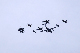 image0276