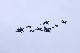 image0277