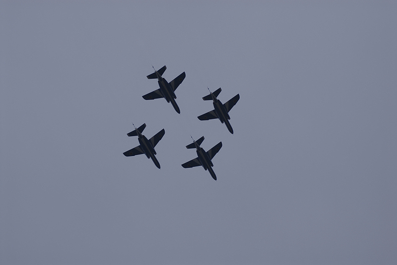 image0355