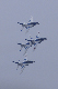 image0290