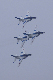 image0291