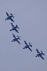 image0337