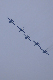 image0341