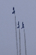 image0394