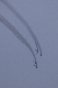 image0476