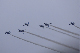 image0508