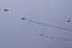 image0539