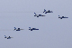 image0571