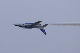 image0583