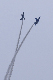 image0597