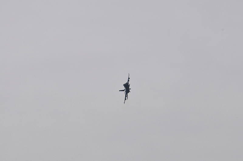 image0660