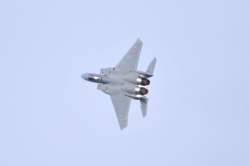 image0695