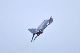 image0584