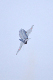 image0586